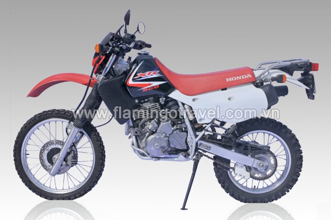 Manual Honda/Suzuki/650cc